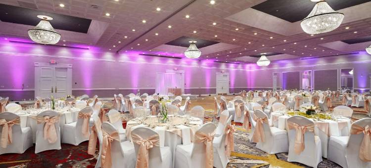 达拉斯逸林酒店-近The Galleria(DoubleTree by Hilton Hotel Dallas Near the Galleria)图片