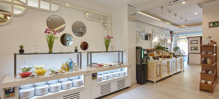 塞尔科蒂尔总统酒店(Sercotel Hotel President)图片