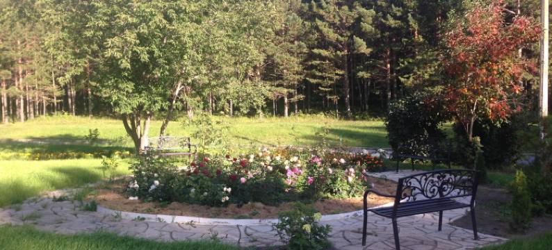 Sosnovy Bor Achinsk图片