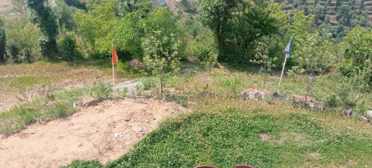 卡纳塔苹果庄园酒店(In Apple Estate Kanatal - Himalayan View Resort with Courteous Staff)图片