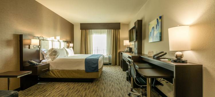 Holiday Inn 奥斯汀(Holiday Inn Austin Airport)图片