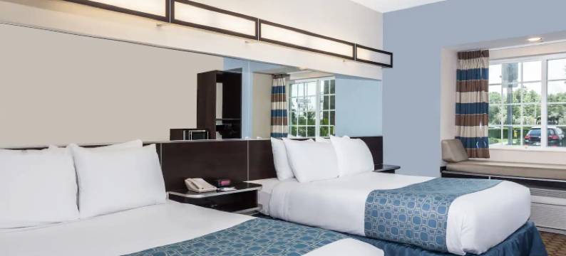 Microtel Inn & Suites by Wyndham Spring Hill/Weeki Wachee图片