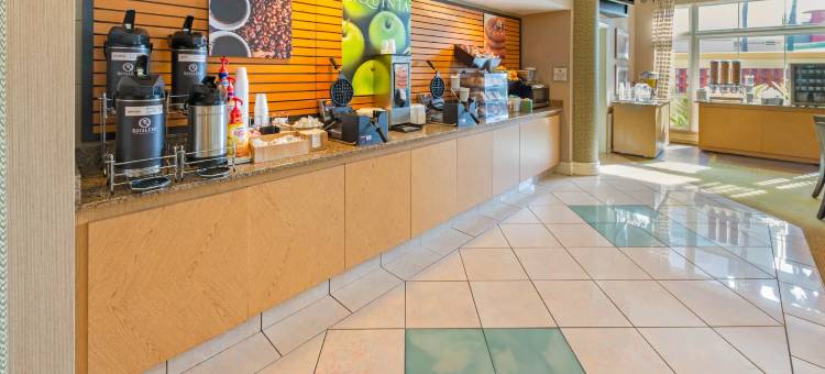 南佛罗里达大学拉昆塔温德姆套房酒店-近布希花园(La Quinta Inn & Suites by Wyndham USF (Near Busch Gardens))图片