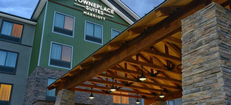 丹佛南/隆特利TownePlace套房酒店(TownePlace Suites Denver South/Lone Tree)图片