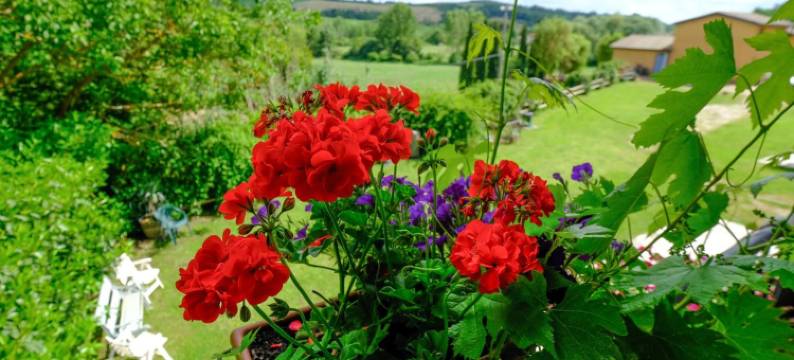 Agriturismo Sant'Agostino图片