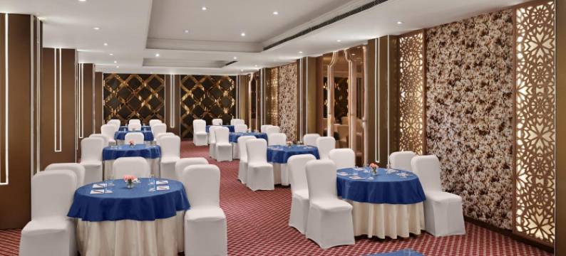 德文彻萨罗瓦波蒂科帕特尔纳加尔(Deventure Sarovar Portico Patel Nagar)图片