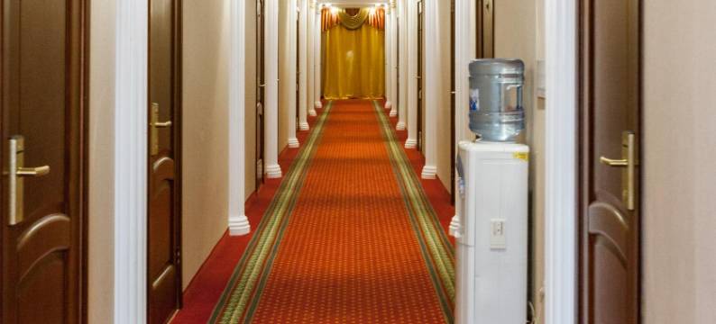 乌玉特豪华酒店(Hotel Grand Uyut)图片