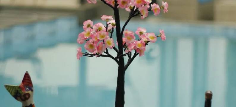 巴厘岛景观华丽度假别墅(The Baliview Luxury Villas & Resto)图片