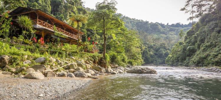 回到自然生态旅馆(Back to Nature Ecotourism)图片