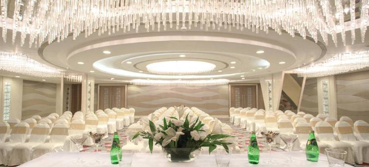 乌代布尔丽筠酒店(Radisson Udaipur)图片