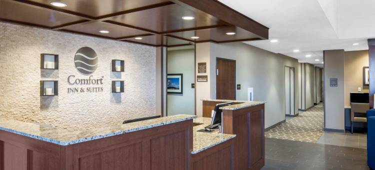 舒适套房酒店(Comfort Inn & Suites)图片