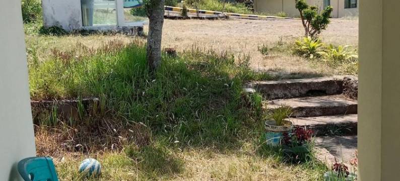 Rice Field Guest House图片