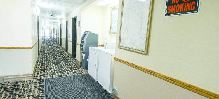 麦克里恩-布卢明顿西南温德姆速8酒店(Super 8 by Wyndham McLean/Bloomington SW)图片