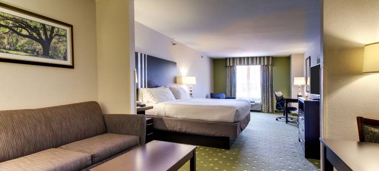 利夫奥克智选假日酒店&套房(Holiday Inn Express & Suites Live Oak)图片