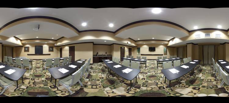 智选假日套房酒店埃尔帕索(Holiday Inn Express & Suites El Paso West)图片