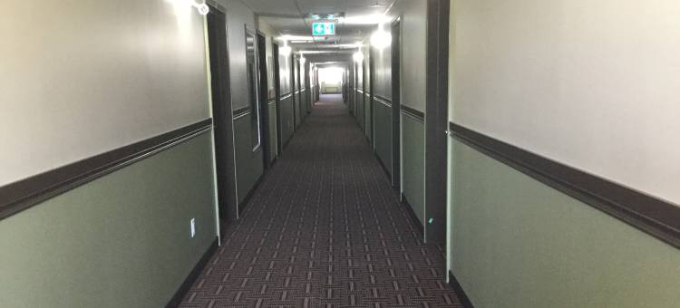 哈迪斯蒂温德姆速8酒店(Super 8 by Wyndham Hardisty)图片