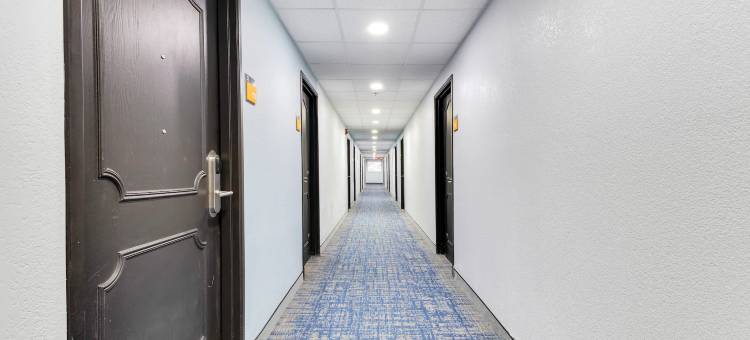 杰克逊维尔蔓达林拉昆塔温德姆套房酒店(La Quinta Inn & Suites by Wyndham Jacksonville Mandarin)图片