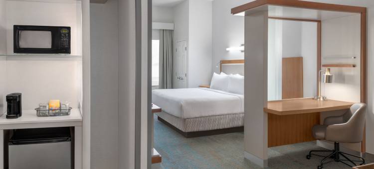 底特律奥本山万豪SpringHill酒店(SpringHill Suites Detroit Auburn Hills)图片