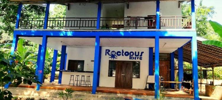 Roctopus Dive Center and Hostel图片