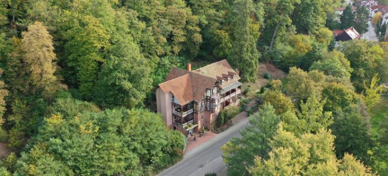 路易斯酒店(Hotel Luise)图片