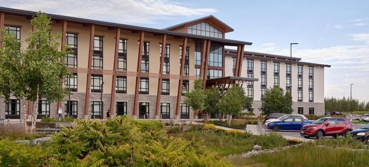 大蓝鹭酒店(Great Blue Heron Hotel)图片