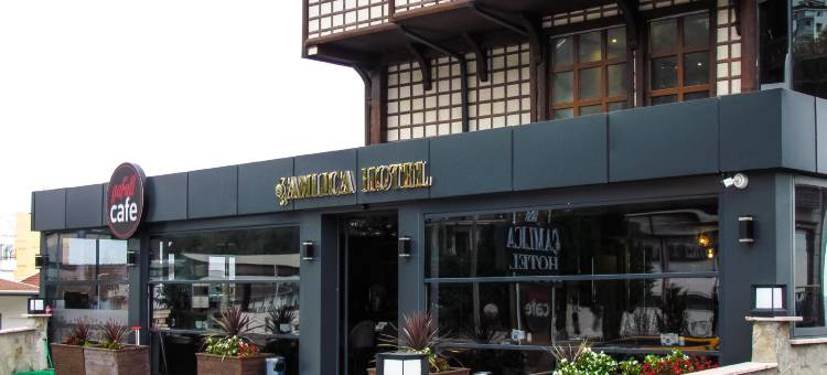 恰姆利贾酒店(Çamlıca Hotel)图片