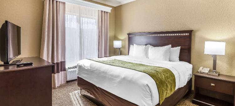 休斯顿IAH机场环城公路8舒适套房酒店(Comfort Suites Houston IAH Airport - Beltway 8)图片
