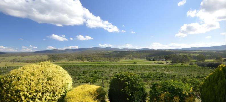 桑塞尔庄园(Sancerre Estate)图片