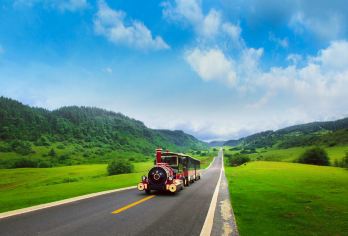 武隆天生三桥+仙女山森林公园一日游【纯玩丨商圈接丨8人小团】【土著司机带您嗨，私密舒适，无导游更自由！】