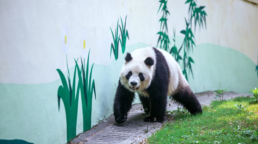 天目湖南山竹海景区