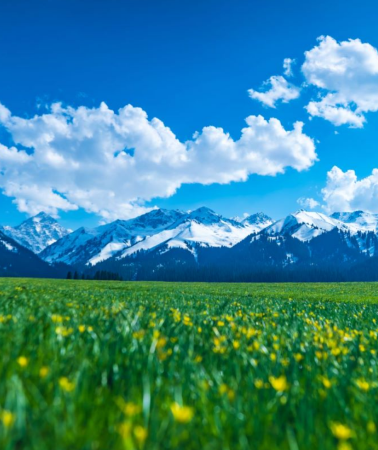 10D9N • Xinjiang + Urumqi + Ili + Kanas + Sayram Lake: group tour for up to 6 guests, premium airline seats, no scenic transfers & Nalati & Hemu in-scenic-area lodging