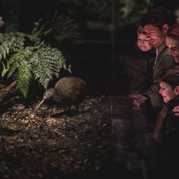 基督城+特卡波湖+库克山+皇后镇8日7晚拼小团