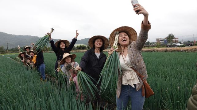 星宝葱体验农场