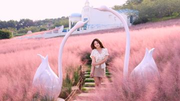 Manhua Sea of Flowers