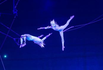 珠海横琴《长隆秀》一日游【一等座，横琴新区接，天天出发】【珠海长隆秀一日游】