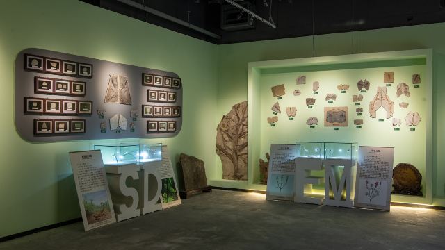 Gallery 3