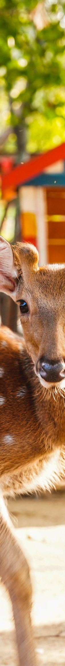 忆江南旅游度假区-荥阳