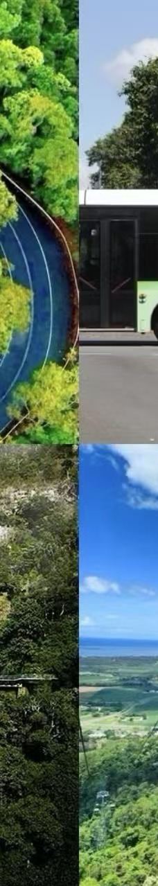 库兰达考拉花园-库兰达