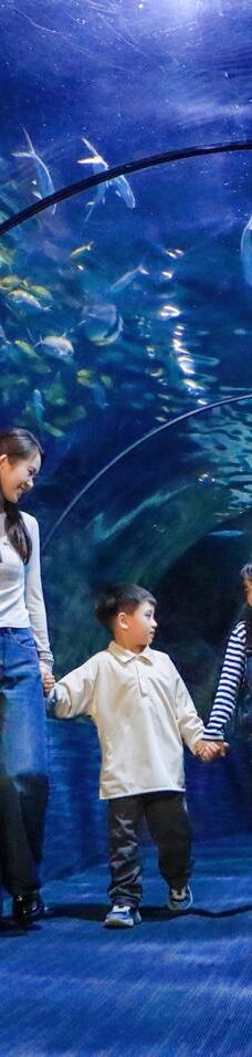 郑州海洋馆-郑州