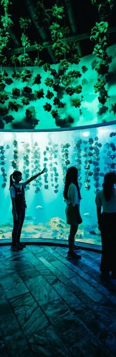台湾海洋生物博物馆-屏东