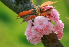 谷阳城遗址景点图片