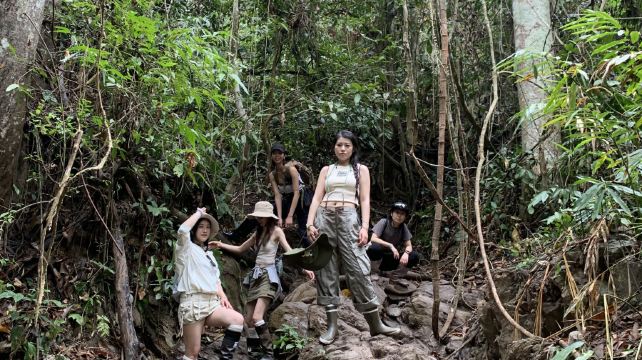 基诺山巴朵村雨林徒步