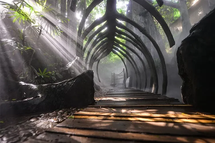 永安旅遊