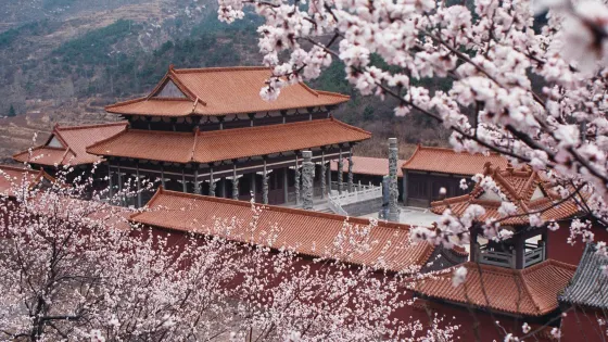 龍泉國家森林公園