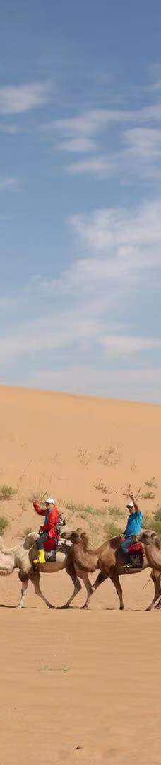 大漠征途露营地-阿拉善左旗