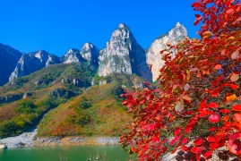 雲台山與焦作2日遊:探索雲台山秋景,穿越焦作影視城