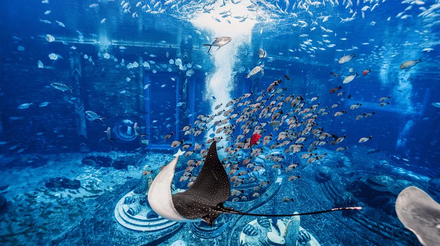 三亚亚特兰蒂斯失落的空间水族馆