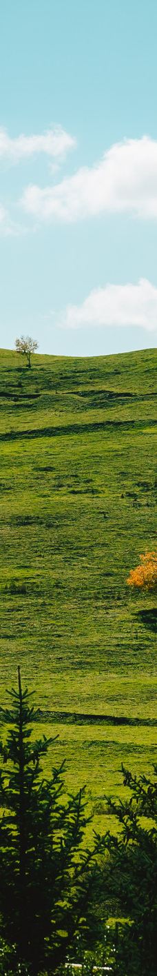 丰宁坝上草原-丰宁