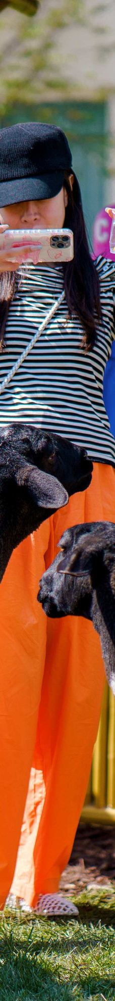 渔田七里海度假区-昌黎