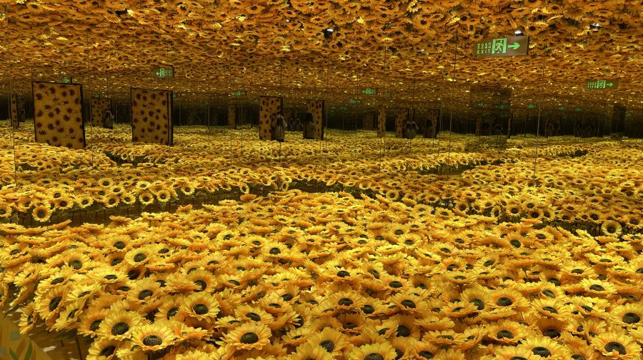 梵高星空艺术馆(洛阳店)